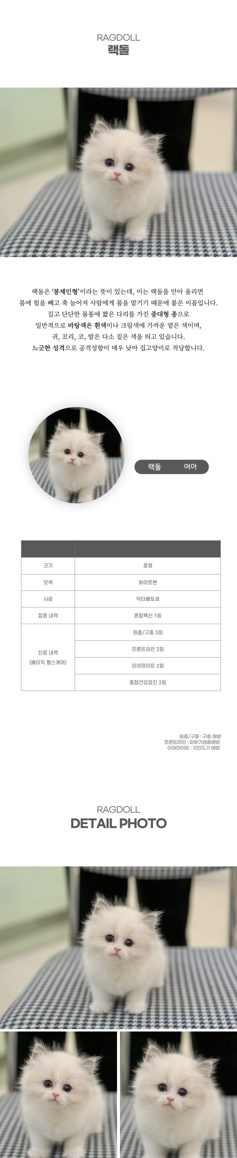 랙돌_상세이미지_2